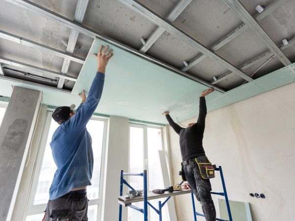 Ceiling & Light Fixture Removal