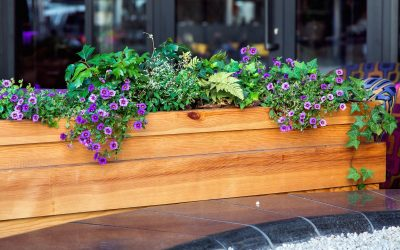 Planter Box Waterproofing