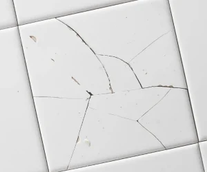 Tile Repair & Replacement